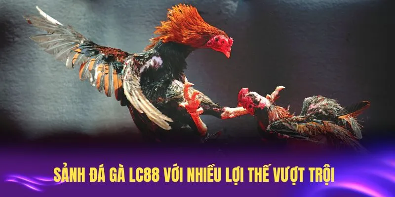Sảnh đá gà LC88 với nhiều lợi thế vượt trội nhất